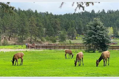 31270 John Wallace Road #412, Evergreen, CO 80439 - Photo 33