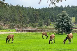 31270 John Wallace Rd, Evergreen, CO 80439 - Photo 33