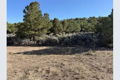 Lot 7067 Waligunda Road, Fort Garland, CO 81133 - Photo 11