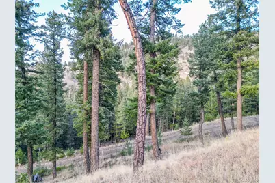 26779 Fern Gulch Road, Evergreen, CO 80439 - Photo 13