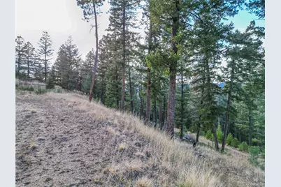 26779 Fern Gulch Road, Evergreen, CO 80439 - Photo 11