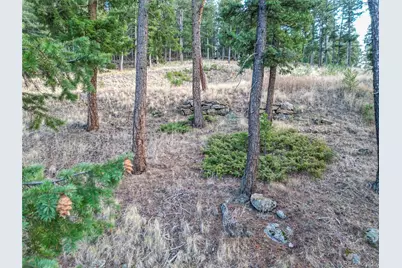 26779 Fern Gulch Road, Evergreen, CO 80439 - Photo 19