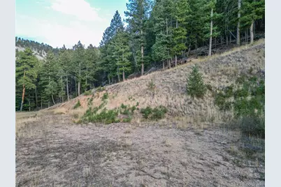 26779 Fern Gulch Road, Evergreen, CO 80439 - Photo 9