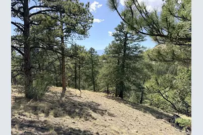 000 Schulze Ranch Rd, Westcliffe, CO 81252 - Photo 11