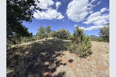 000 Schulze Ranch Rd, Westcliffe, CO 81252 - Photo 25