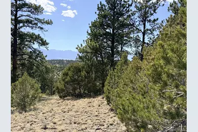 000 Schulze Ranch Rd, Westcliffe, CO 81252 - Photo 29