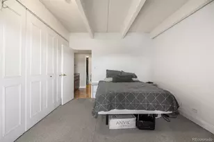130 N Pearl St, Denver, CO 80203 - Photo 23
