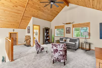 15608 Ouray Road, Pine, CO 80470 - Photo 33