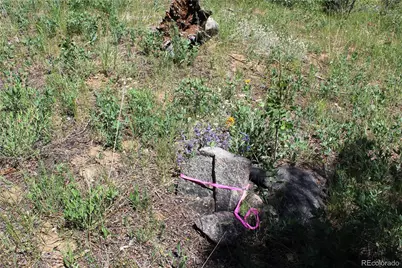 1595 Missouri Gulch Road, Black Hawk, CO 80422 - Photo 21