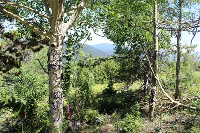 1595 Missouri Gulch Road, Black Hawk, CO 80422 - Photo 15