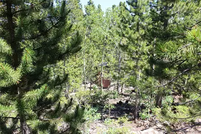 1595 Missouri Gulch Road, Black Hawk, CO 80422 - Photo 5