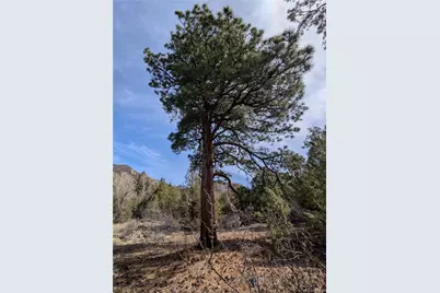 446 Arrowhead Overlook, Crestone, CO 81131 - Photo 3