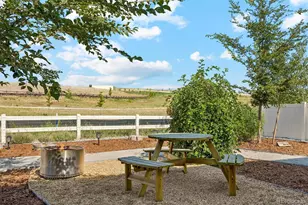 12677 Buffington Trl, Parker, CO 80134 - Photo 49