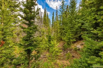 632 El Lobo Lane, Fairplay, CO 80440 - Photo 13