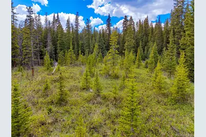 632 El Lobo Lane, Fairplay, CO 80440 - Photo 9