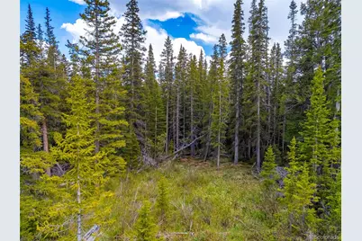 632 El Lobo Lane, Fairplay, CO 80440 - Photo 21