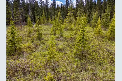 632 El Lobo Lane, Fairplay, CO 80440 - Photo 17