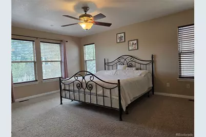 3430 Chandon Way, Highlands Ranch, CO 80126 - Photo 21