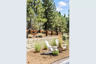 7008 Homeplace Point, Castle Rock, CO 80108 - Photo 31