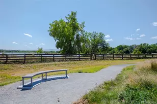 2460 Channel Dr, Highlands Ranch, CO 80129 - Photo 47