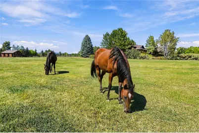 10077 N 75th Street, Longmont, CO 80503 - Photo 91