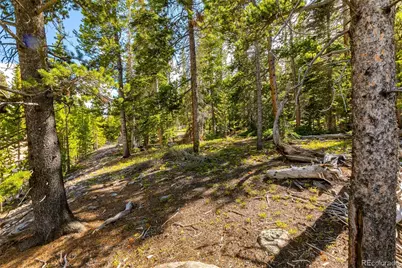 440 Gold Trail Circle, Fairplay, CO 80440 - Photo 23