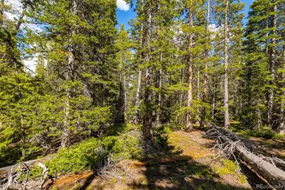 440 Gold Trail Circle, Fairplay, CO 80440 - Photo 13