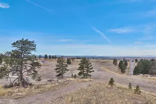 7950 Majestic Sky Dr, Parker, CO 80134 - Photo 5