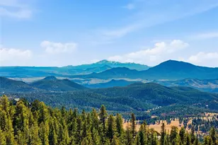 11593 Braun Way, Conifer, CO 80433 - Photo 23