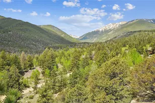 30043 Creek Run, Buena Vista, CO 81211 - Photo 45