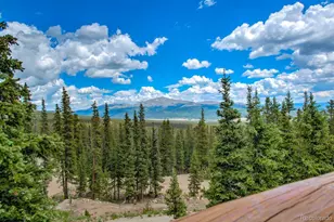137 Porcupine Rd, Fairplay, CO 80440 - Photo 31