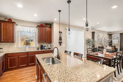 15217 Yellowthroat Street, Parker, CO 80134 - Photo 17