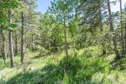 582 Karlann Drive, Black Hawk, CO 80422 - Photo 37