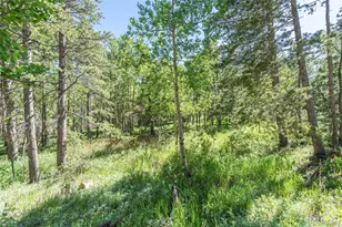 582 Karlann Dr, Black Hawk, CO 80422 - Photo 37