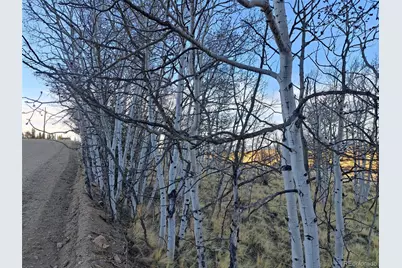 541 War Lane, Como, CO 80432 - Photo 13