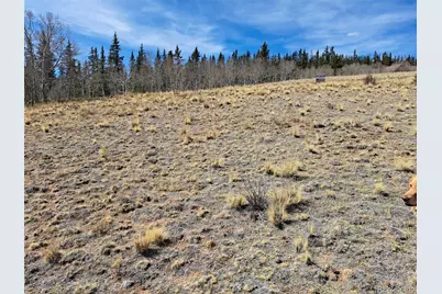 541 War Lane, Como, CO 80432 - Photo 1