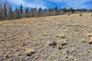 541 War Ln, Como, CO 80432 - Photo 1