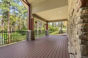 1587 Avenida Del Sol, Castle Rock, CO 80104 - Photo 23