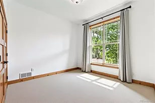 1587 Avenida Del Sol, Castle Rock, CO 80104 - Photo 15