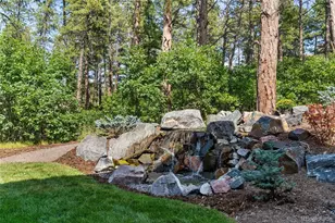 1587 Avenida Del Sol, Castle Rock, CO 80104 - Photo 27