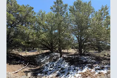 3231 Camino Del Rey, Crestone, CO 81131 - Photo 9