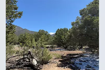 3231 Camino Del Rey, Crestone, CO 81131 - Photo 11