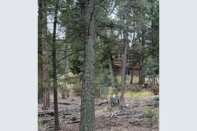 0000 Tobbogan Road, Pine, CO 80407 - Photo 5