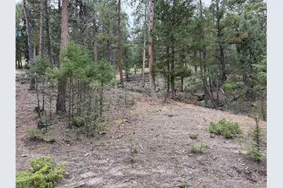0000 Tobbogan Road, Pine, CO 80407 - Photo 1