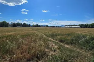 4899 S Dudley St, Littleton, CO 80123 - Photo 7