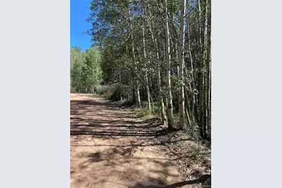 452 Wilson Drive, Florissant, CO 80816 - Photo 5