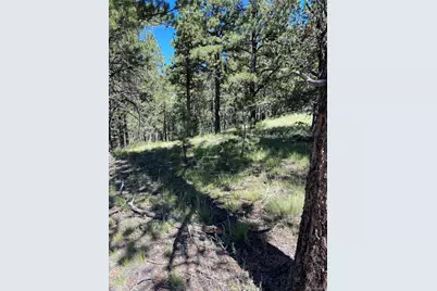 452 Wilson Drive, Florissant, CO 80816 - Photo 3