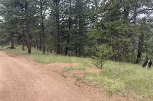 452 Wilson Dr, Florissant, CO 80816 - Photo 1