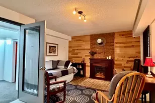 245 Baby Doe Dr, Leadville, CO 80461 - Photo 29