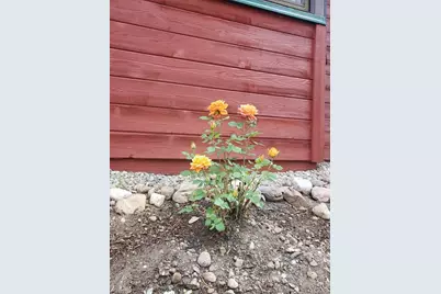 245 Baby Doe Drive, Leadville, CO 80461 - Photo 41